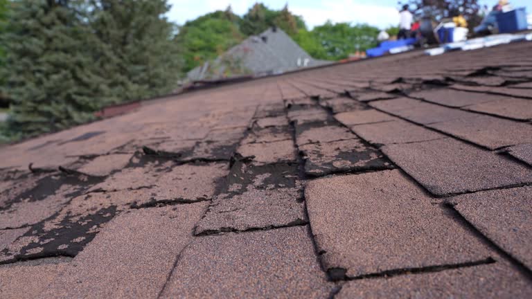Best Slate Roofing  in Pagedale, MO