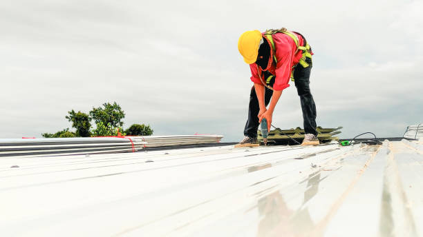 Steel Roofing in Pagedale, MO