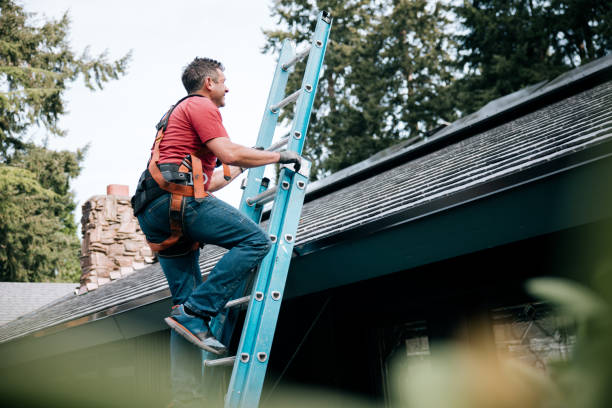 Best Roof Moss and Algae Removal  in Pagedale, MO