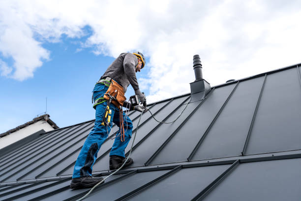 Best Metal Roofing Installation  in Pagedale, MO