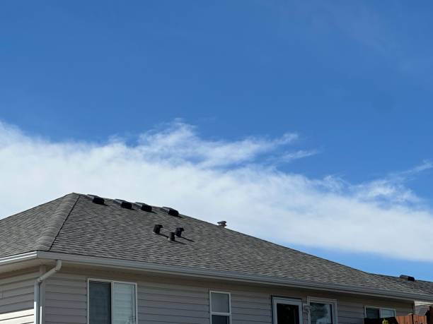Best Skylight Installation and Repair  in Pagedale, MO